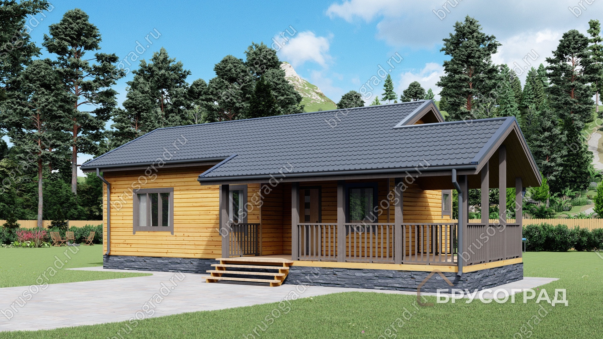 Главный вид проект П-10