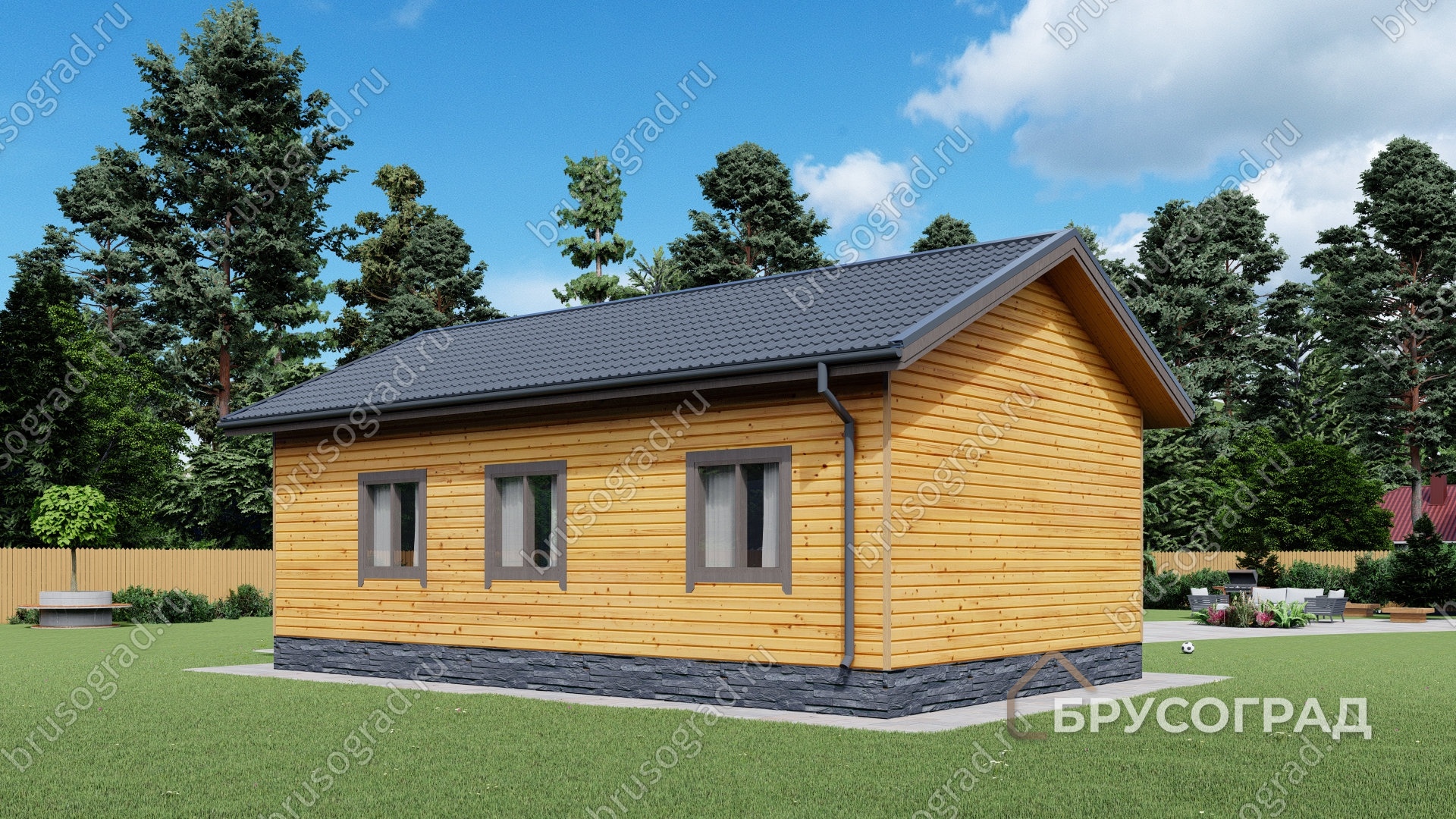 Третий вид проект П-10