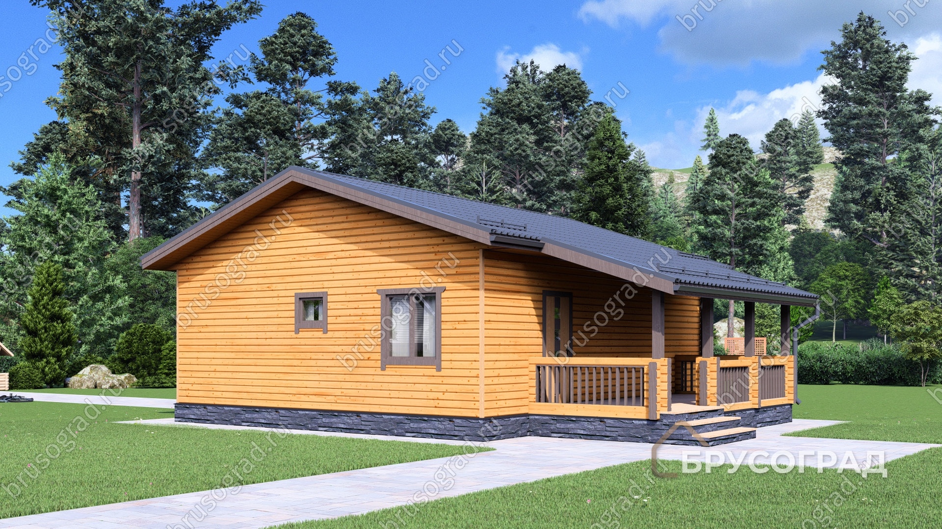 Главный вид проект П-13