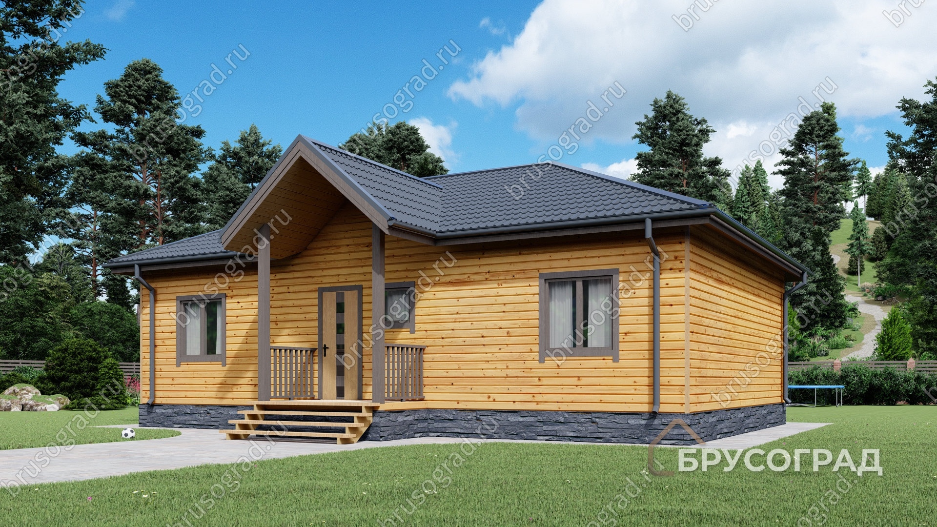 Третий вид проект П-62