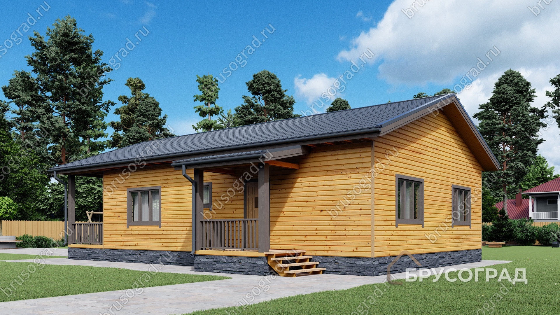 Третий вид проект П-66