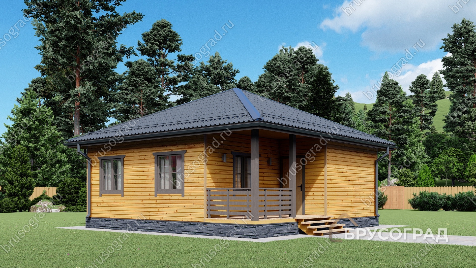 Главный вид проект П-8