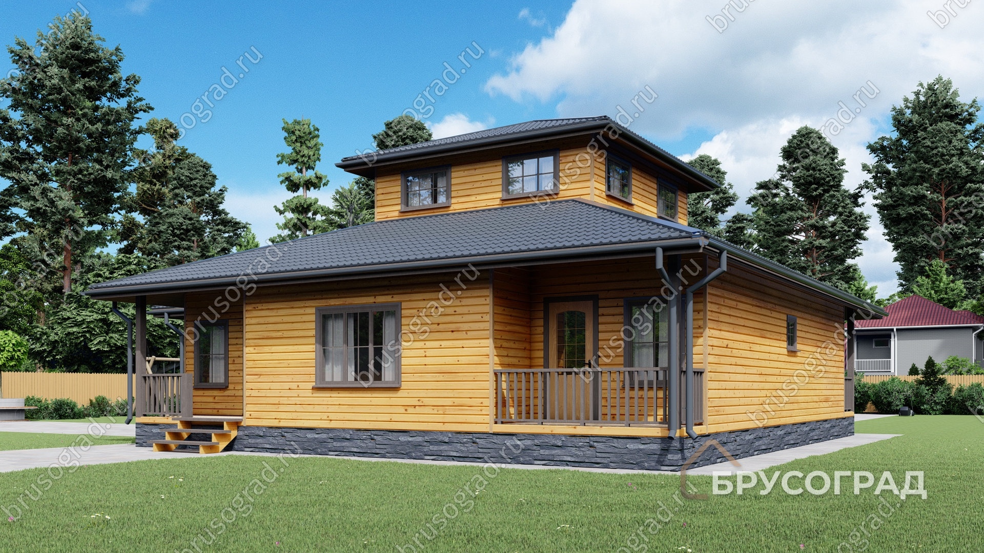 Третий вид проект П-91